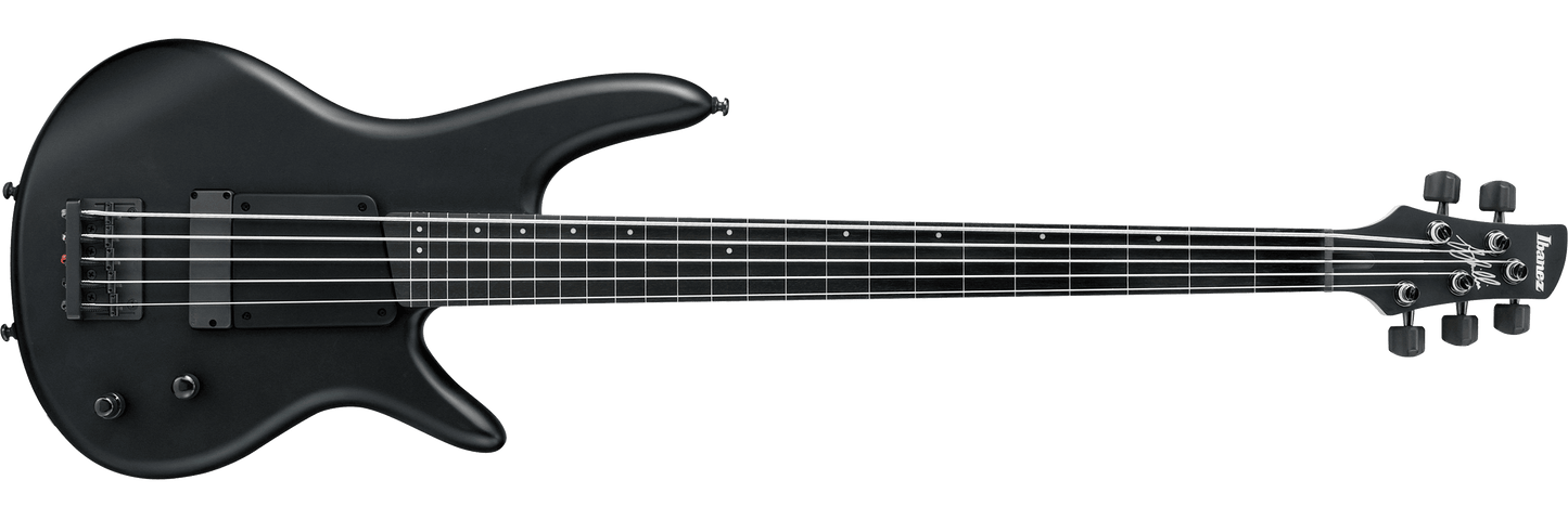 Ibanez GWB3BKF Gary Willis 5-String Fretless Electric Basses Black Flat